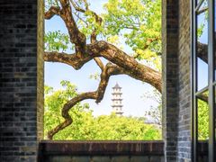-江心屿景区