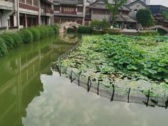 -龙潭水乡