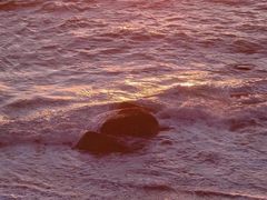 -加州红歌声宴KTV(白石洲店)