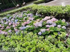 -苏州河梦清园环保主题公园