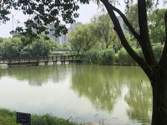 -SMP滑板公园