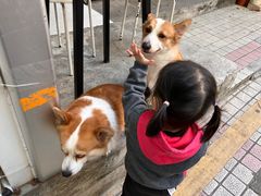 -小梁哥云吞面(黄贝岭店)