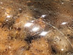 -鸿记煌三汁焖锅(府前路店)