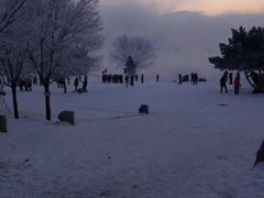 android_upload_pic-雾凇岛