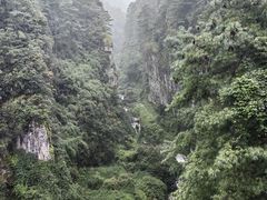 -苍山感通索道