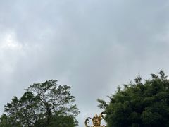 -东部华侨城