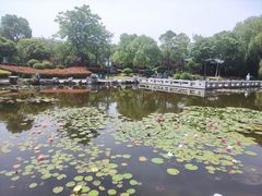 -金银湖国家城市湿地公园