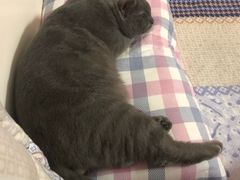 -爱诺耐芙动物医院(万博店)