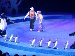 -珠海横琴长隆《卡卡虎奇遇记》