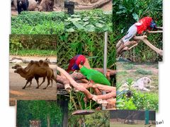 -广州长隆野生动物世界