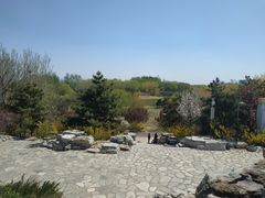 -大兴滨河森林公园