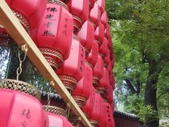 -泰山风景名胜区-普照寺