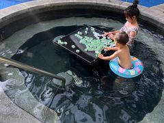 -惠州金海湾嘉华度假酒店