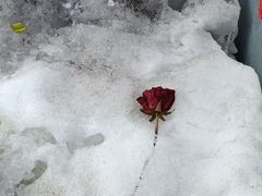 -太子岭滑雪场