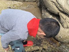 -老虎石海上公园