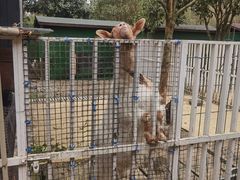 -洪湖家庭农场·团建·露营·会议