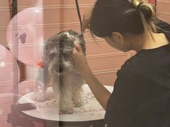 -FAELING PETS美天灵宠物(合生汇店)