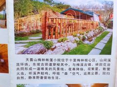 游乐设施-广东天露山旅游度假区