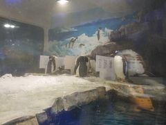 -台州海洋世界
