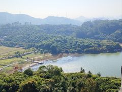 -清溪大王山森林公园