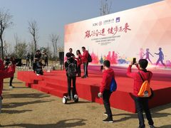 -上海长兴岛郊野公园