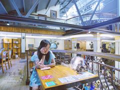 大堂-more than meow吴止猫主题餐厅(承德 中船汇店)