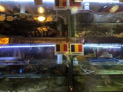 水产区-桥东喜碧海鲜街(水东街店)