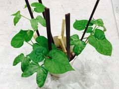 -百新书局(尚悦湾店)