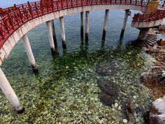 -养马岛旅游度假区