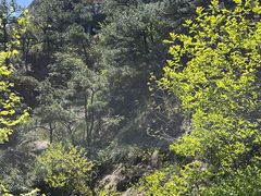 -明堂山风景区