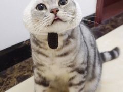 -同发大酒家