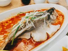 清蒸鲈鱼-大鸭梨(天通西苑店)