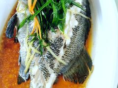 -锐记美食店·现捞海鲜(闸坡店)