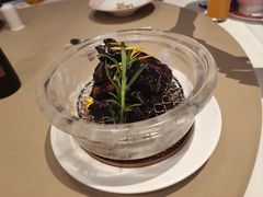 -圆苑(金茂店)