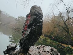 -西湖外事游船(花港观鱼码头)