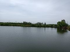 -八仙台服务区-停车场