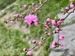 -丰台科技园生态主题公园