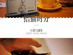 -猫咖时代(中山亭店)