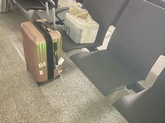 -青岛胶东国际机场
