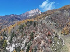 -芦芽山旅游度假区