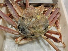 -初色海鲜自助(万丰路店)