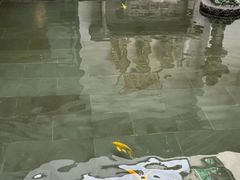 -觀芷隐轩