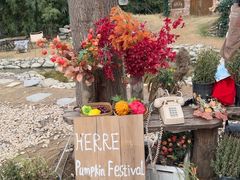 -HERRE·FARM 赫尔露营农场·团建聚会包场