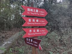 -江西阳明山国家森林公园