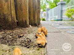 -北科婴幼学苑