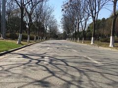 -贡湖湾湿地公园