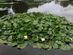 -前关湿地公园