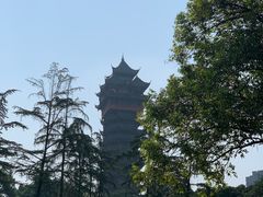-塔子山公园