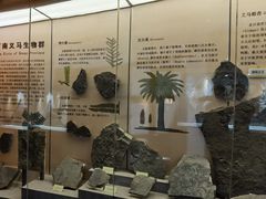 -河南自然博物馆