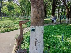 -海珠湖公园